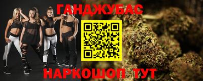 сатива Камышлов
