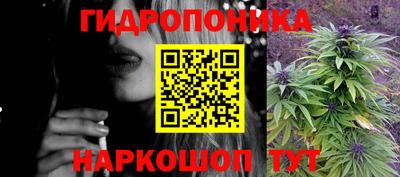 сатива Камышлов