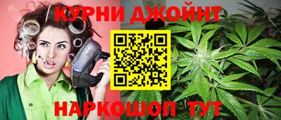 сатива Камышлов